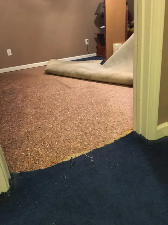 Carpet pad removal revealing water damage during Water Mitigation Services in Manor