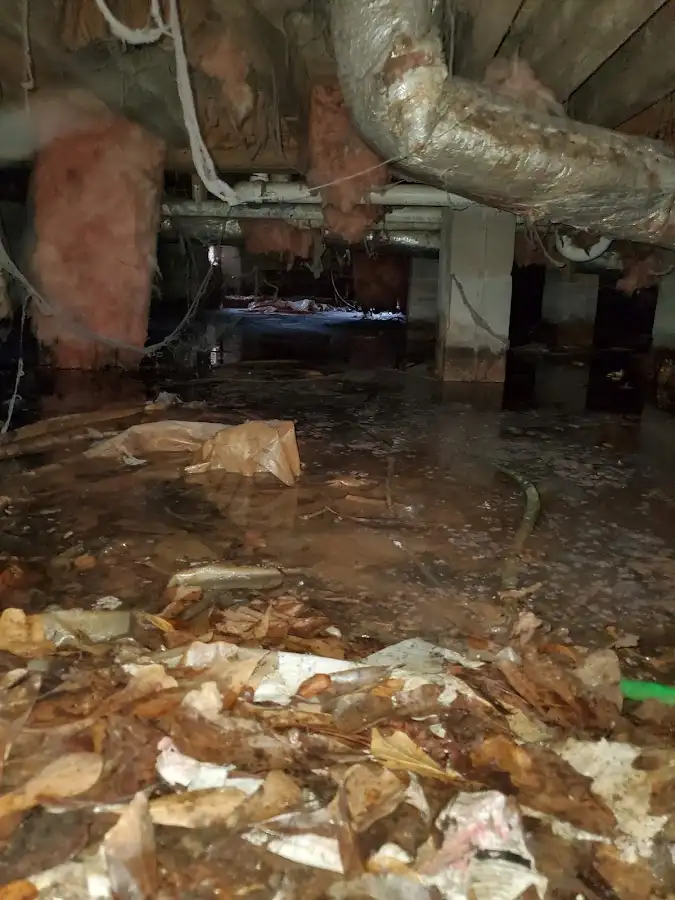Crawl space flood assessment for Leak Detection & Repair in Manor