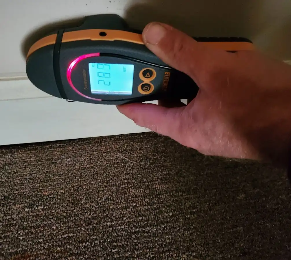 Moisture detection at baseboard during Mold Inspection & Testing in Manor